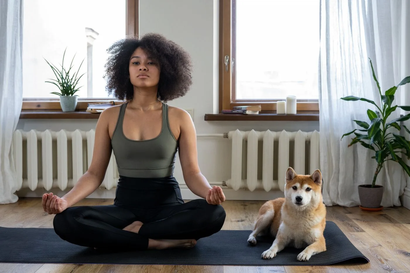 Mindfulness and meditation coaching